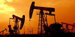 国家企事业单位