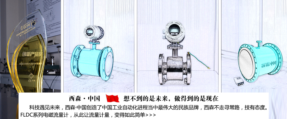 西森FLDC污水电磁流量计