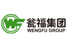 智能电磁流量计厂家 西森用心打动瓮福集团