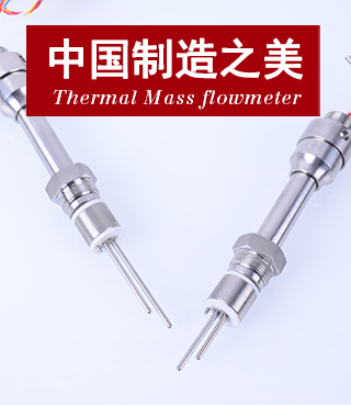 热式气体质量流量计（插入式）